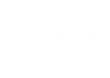 V S P