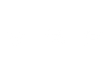 V S P 